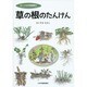 ぼくの自然観察記 草の根のたんけん [絵本]