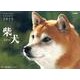 柴犬 2015[カレンダー]（Yama-Kei Calendar） [カレンダー]