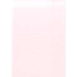 824 就職活動手帳PLUS(ピンク) [単行本]
