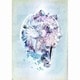 RADWIMPS／RADWIMPS Live & Document 2014 ×と○と君と [Blu-ray Disc]