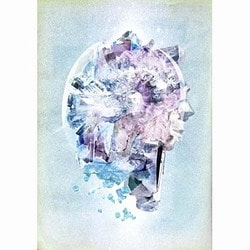 RADWIMPS／RADWIMPS Live & Document 2014 ×と○と君と [Blu-ray Disc]