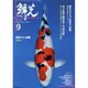 鱗光 2014年9月号 [単行本]