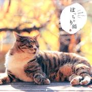 ぽっちゃり猫CALENDER 2015 [カレンダー]
