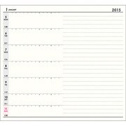 111 差し替え用年度スケジュール Wサイズ [2015年版 週間タイプ 差替用]