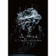 ALI PROJECT／ALI PROJECT 2014 流行世界感染 TOUR [DVD]