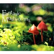 Fantasic Mushroomsカレンダー 2015 [カレンダー]