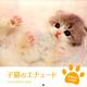 子猫のエチュードカレンダー 2015 [カレンダー]