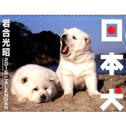 ヨドバシ Com 犬カレンダー日本犬 2015 単行本 通販 全品無料配達