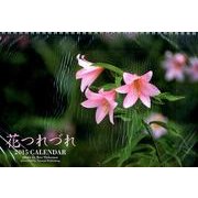 花つれづれカレンダー 2015 [カレンダー]