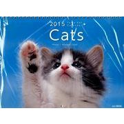 Catsカレンダー 2015 [カレンダー]