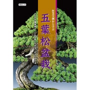 作業実例から学ぶ 五葉松盆栽 KBムック [ムックその他]