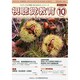 視聴覚教育 2014年 10月号 [雑誌]