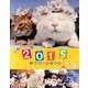 かご猫シロは花盛りカレンダー 2015 [カレンダー]