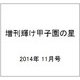 増刊輝け甲子園の星 2014年 11月号 [雑誌]