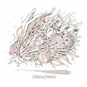 Uteruchesis
