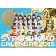 チームしゃちほこ PHOTOカレンダーBOOK 2015