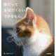 猫だって鼻提灯くらいできるもん。 [単行本]