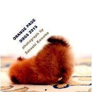 DOGS CALENDAR 2015 [カレンダー]