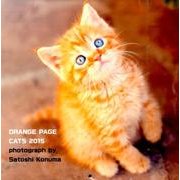 CATS CALENDAR 2015 [カレンダー]