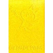 オレンジページオリジナルECO手帳 2015 [ムックその他]