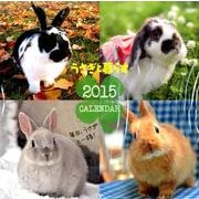 うさぎと暮らすカレンダー 2015 [カレンダー]