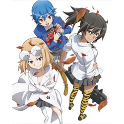 愛・天地無用!弐 [Blu-ray Disc]