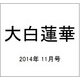 大白蓮華 2014年 11月号 [雑誌]