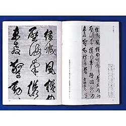 ヨドバシ.com - 傅山の書法 [単行本] 通販【全品無料配達】