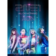 2014 2NE1 WORLD TOUR ALL OR NOTHING in JAPAN