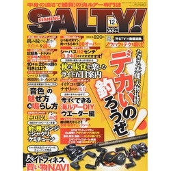 salty ! (ソルティ) 2014年 12月号 [雑誌]