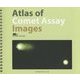 Atlas of Comet Assay Images [単行本]