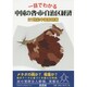 中国の省・市・自治区経済―一目でわかる [全集叢書]