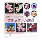 ウチョウラン銘花カレンダー 2015年版 [カレンダー]