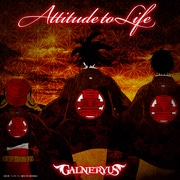 ATTITUDE TO LIFE