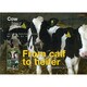 From calf to heifer [単行本]