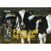 From calf to heifer [単行本]