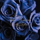 松田聖子／Seiko Matsuda Best Ballad