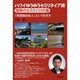 ハワイゆうゆうセミリタイア術 禁断のカラクリ55の扉―「無国籍自由人」という生き方 [単行本]