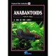 ベタ・グーラミィ（Tropical Fish Collection 5） [図鑑]