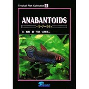 ベタ・グーラミィ（Tropical Fish Collection 5） [図鑑]