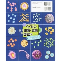 のぞいてみようウイルス・細菌・真菌図鑑 1 (小さくてふしぎなウイルスのひみつ) 小さくてふしぎな ウイルスのひみつ (のぞいてみよう ウイルス