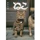 ねこ [文庫]