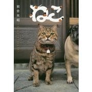 ねこ [文庫]