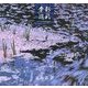 季彩巡礼―めぐる季(とき)をみつめて [単行本]