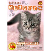 かわいいいたずら子ねこ[DVD]
