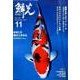 鱗光 2014年11月号 [単行本]