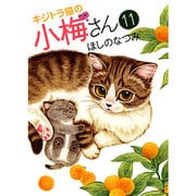 キジトラ猫の小梅さん 11（ねこぱんちコミックス） [コミック]