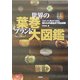 世界の葉巻ブランド大図鑑―コイーバ・ダビドフから知られざる銘品まで完全網羅 [単行本]