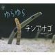 ゆらゆらチンアナゴ(ほるぷ水族館えほん) [絵本]