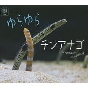 ゆらゆらチンアナゴ(ほるぷ水族館えほん) [絵本]